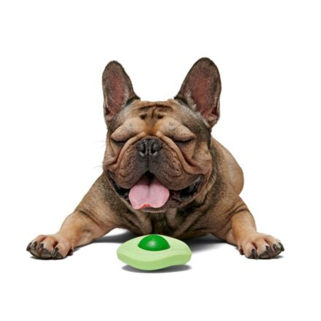 Green Egg Durable Super Chewer Dog Toy