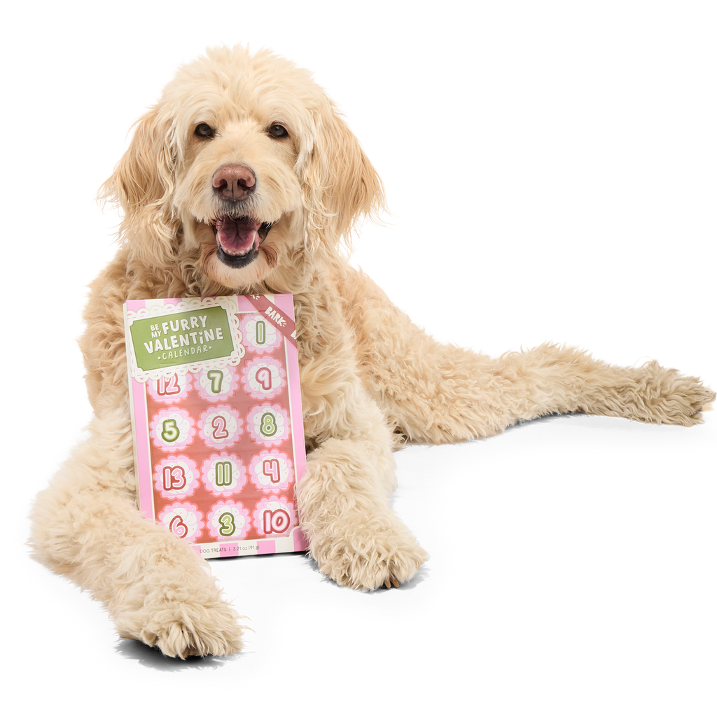 Be My Furry Valentine Treat Calendar Vegetarian Hard & Crunchy Dog Treats