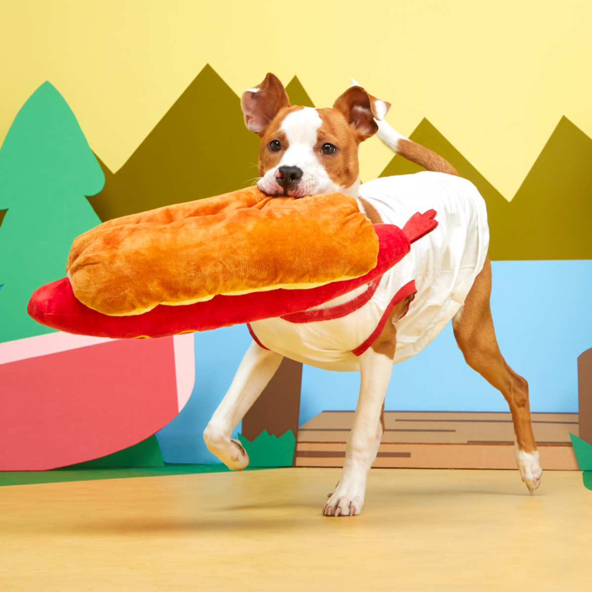 Frank N. Footer Plush XXL Tug Dog Toy