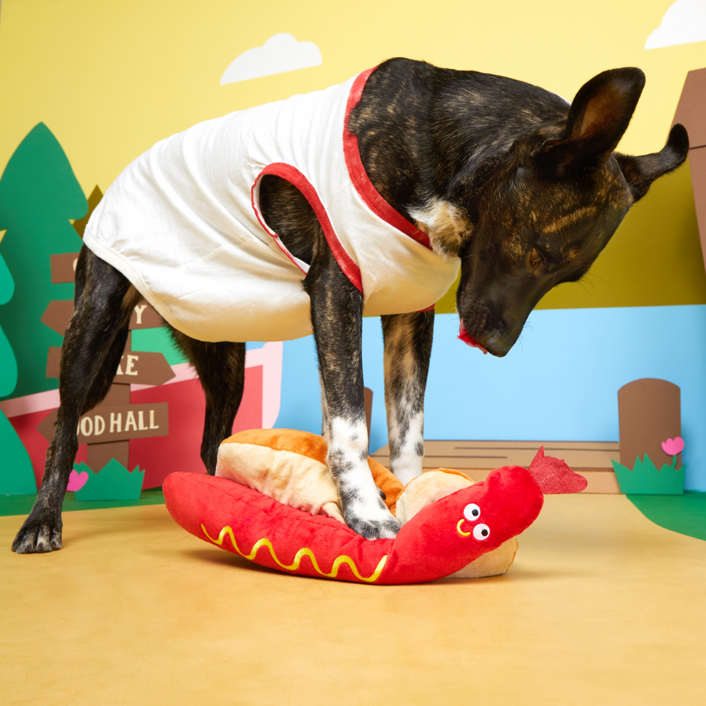 Frank N. Footer Plush XXL Tug Dog Toy