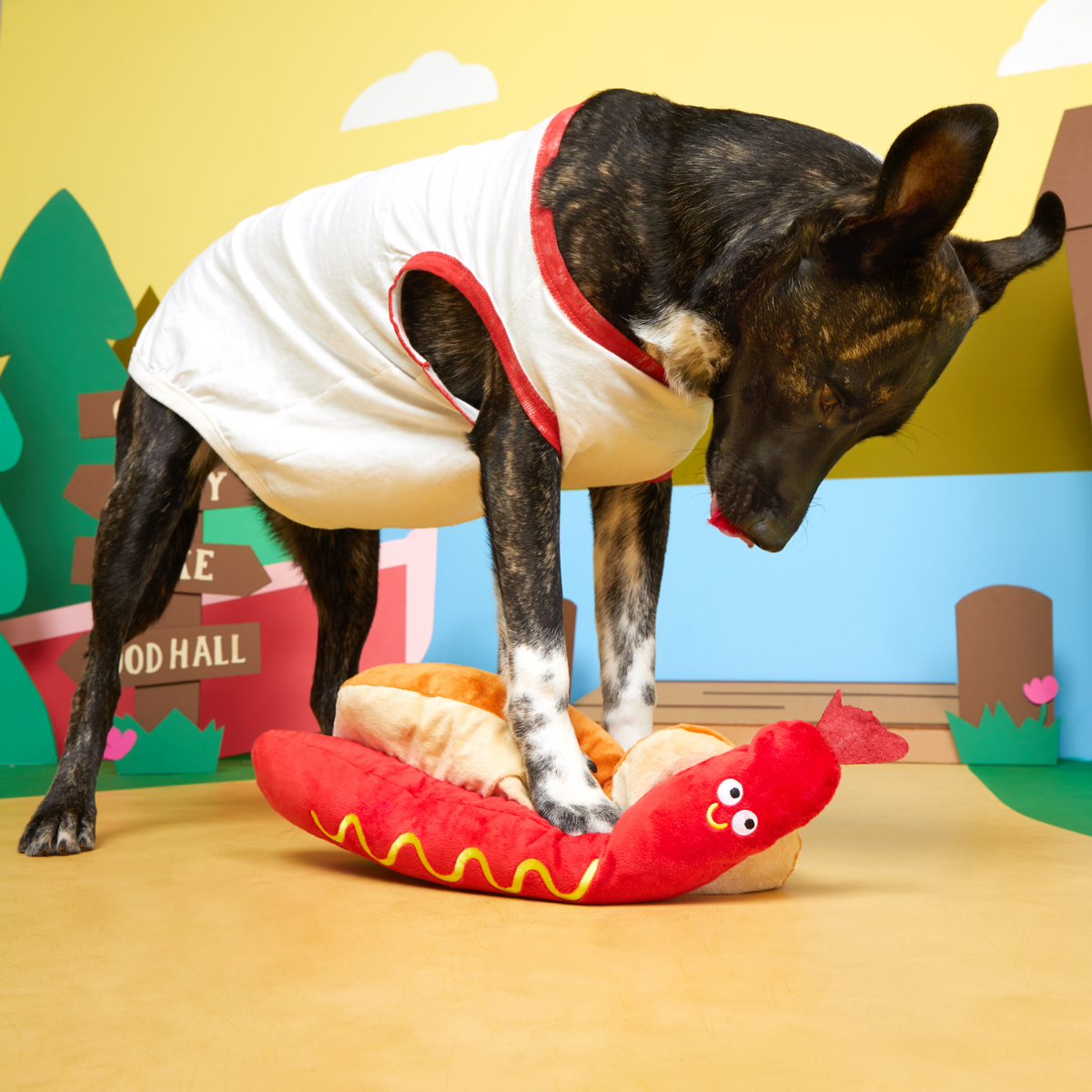 Frank N. Footer Plush XXL Tug Dog Toy