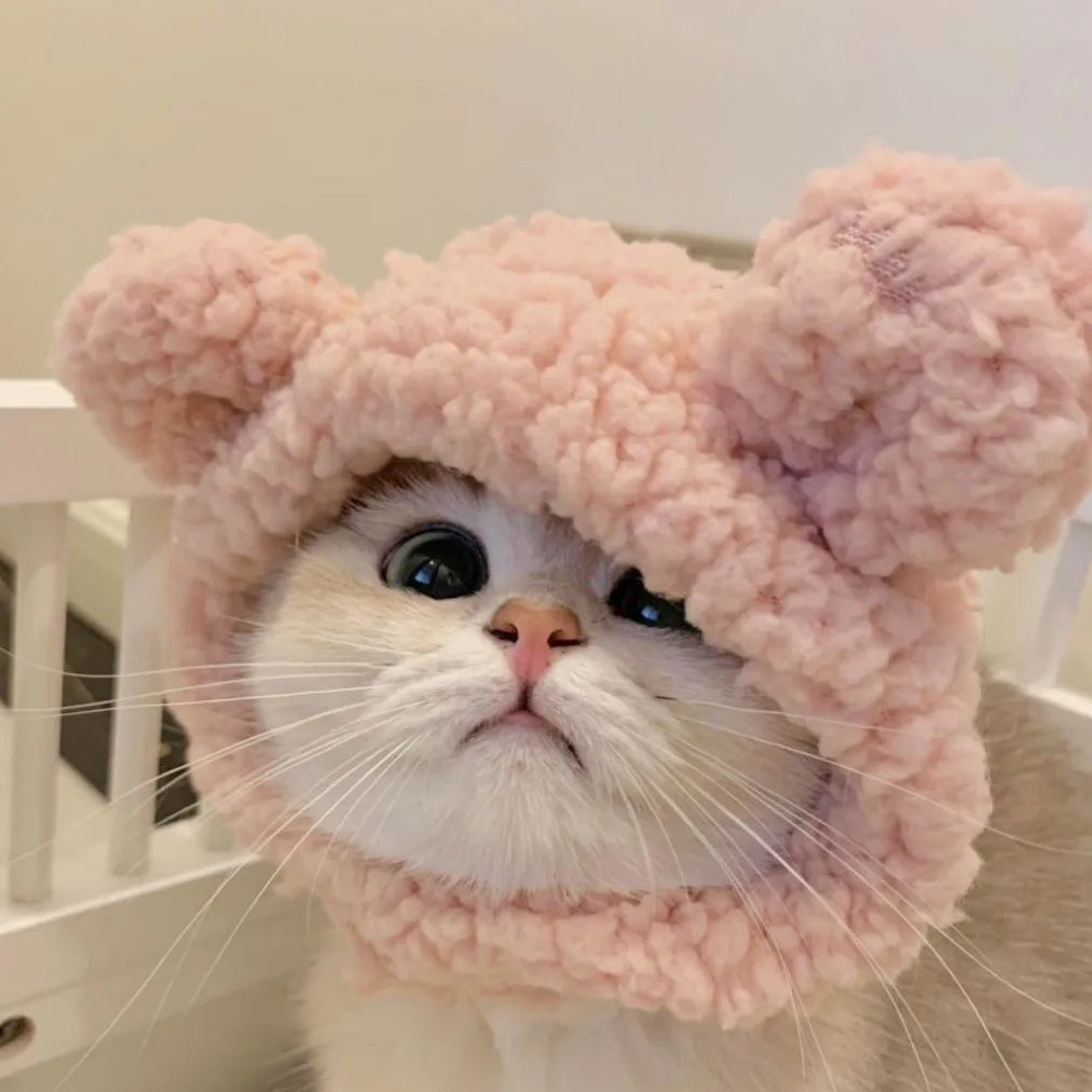 Funny Cat Hat | Plush Yarn Cosplay Cap