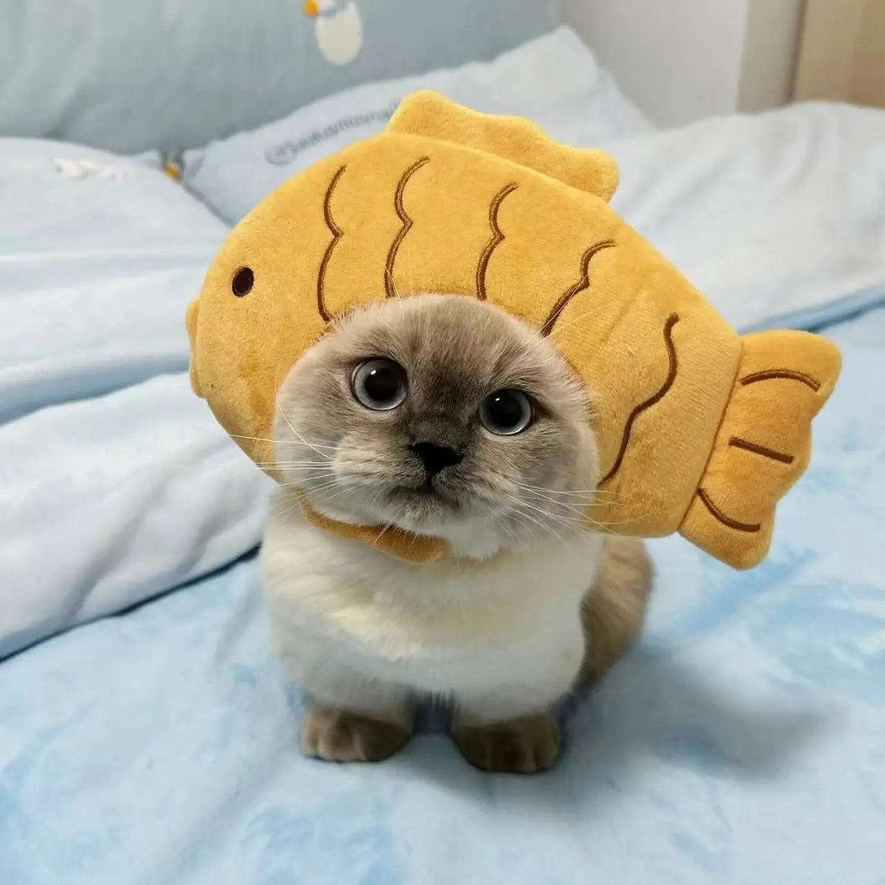 Funny Cat Hat | Plush Yarn Cosplay Cap