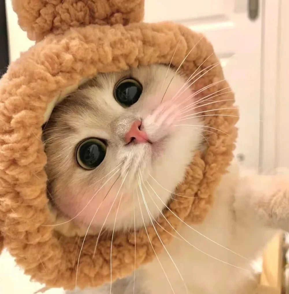 Funny Cat Hat | Plush Yarn Cosplay Cap