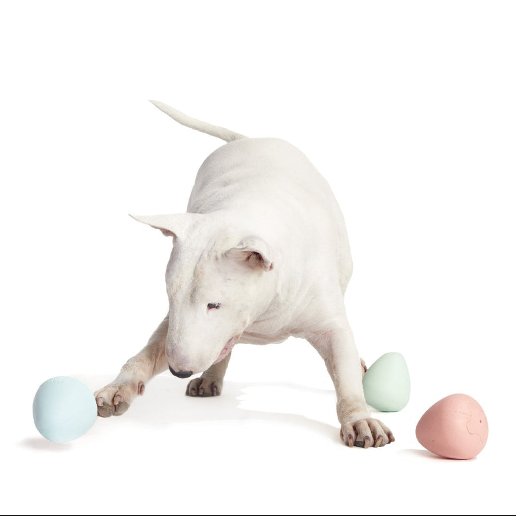 Easter Funday Bundle Super Chewer Durable Multi-Part Dog Toy