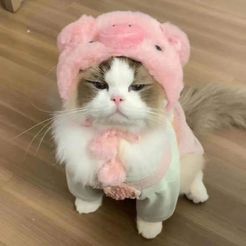 Funny Cat Hat | Plush Yarn Cosplay Cap